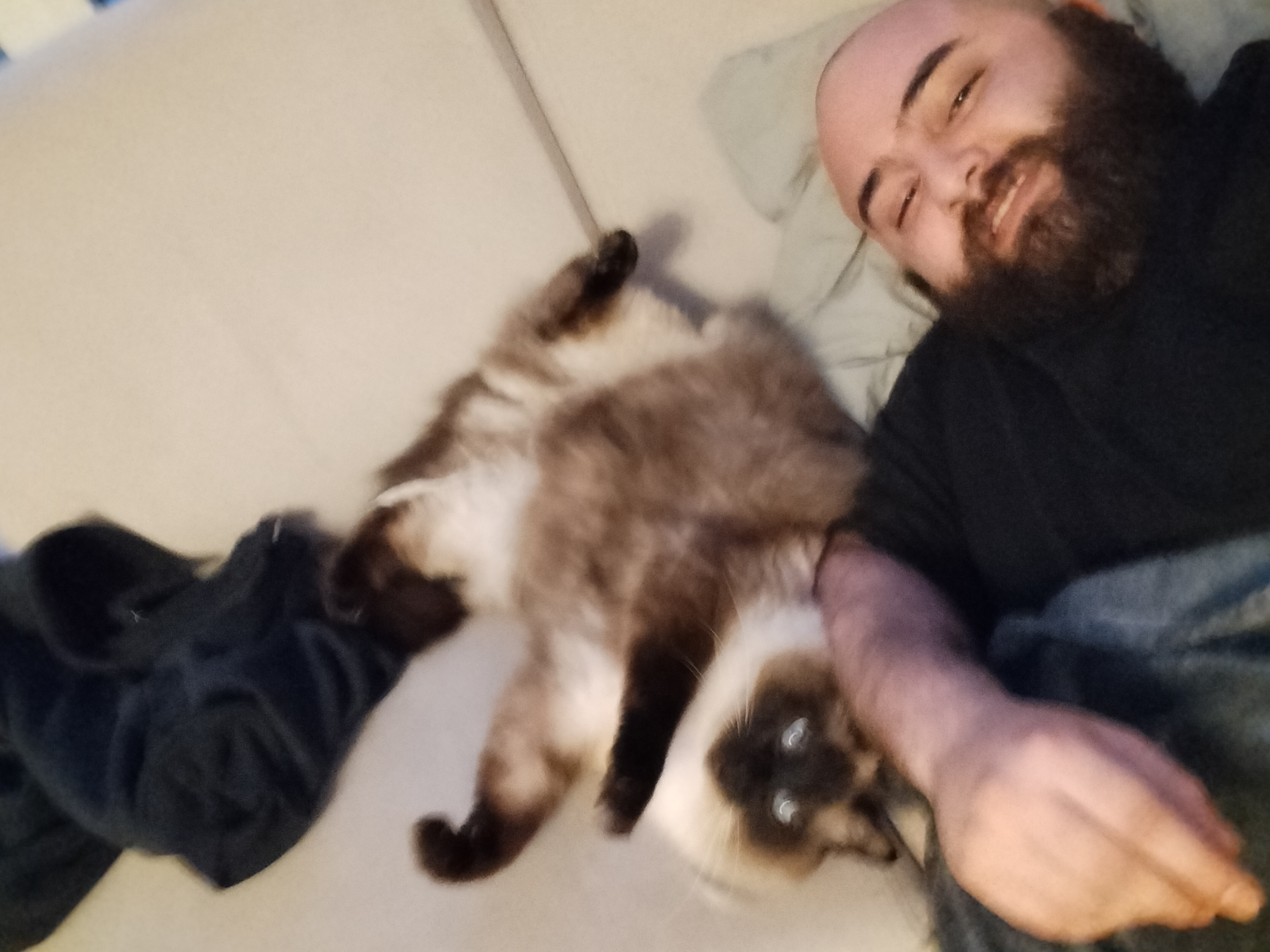 Relaxed candid moment with a cat
